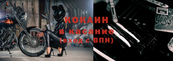 крисы Алексин