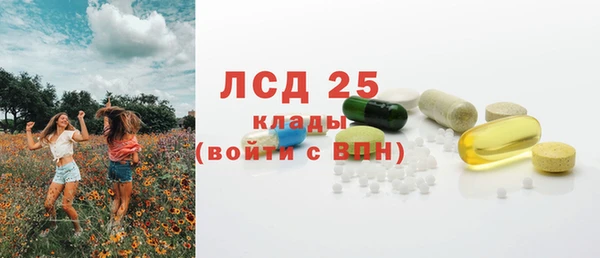 крисы Аркадак