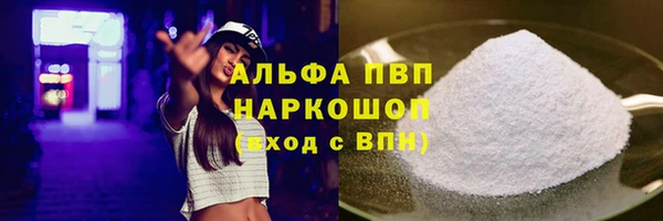 молекула духа Арсеньев