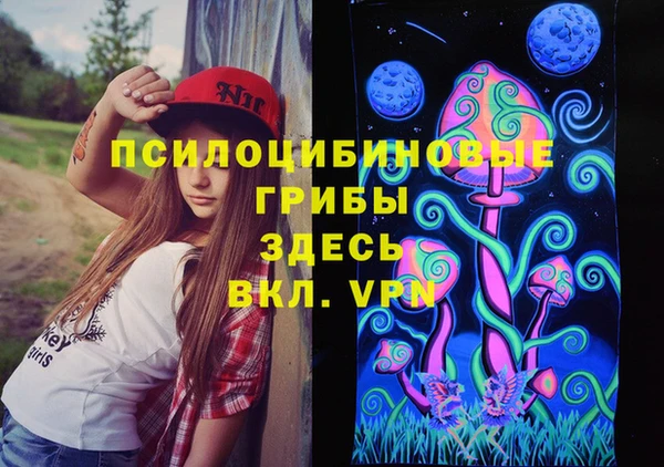 крисы Аркадак