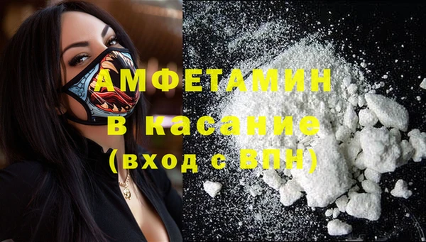молекула духа Арсеньев
