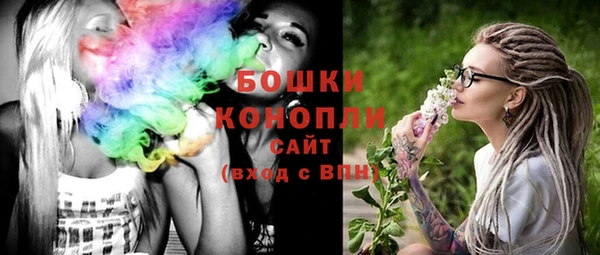 молекула духа Арсеньев