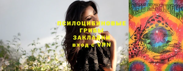 метадон Армянск