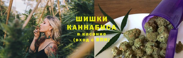 молекула духа Арсеньев