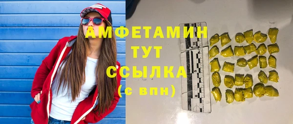 молекула духа Арсеньев