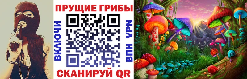 Псилоцибиновые грибы прущие грибы  Устюжна 